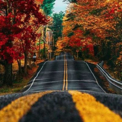 足球彩票正规app下载截图