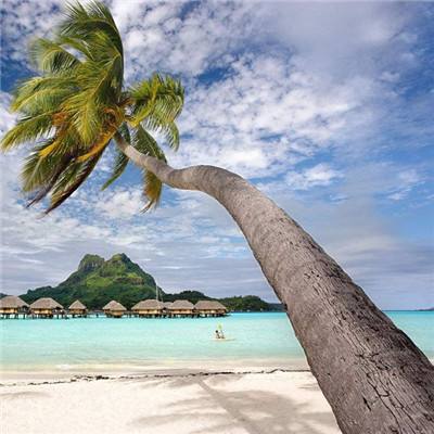 加拿大pc软件平台