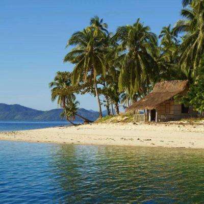 金博宝手机app下载截图