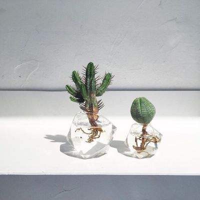 半岛官方APP入口