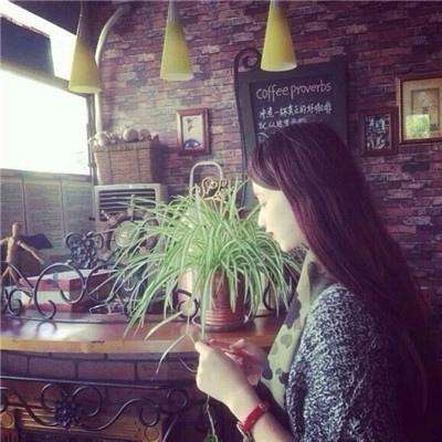 4949澳门免费资料大全手机app下载